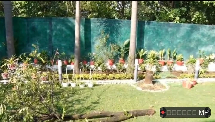 'बड़ी देर कर दी मेहरबां आते-आते' नेता प्रतिपक्ष उमंग सिंघार ने शराब वाले मामले पर CM के ऊप्स कसा तंज