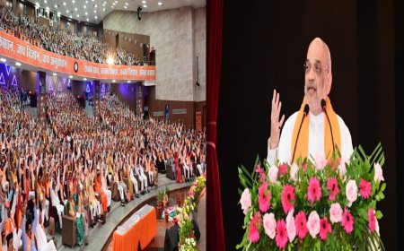 पन्ना प्रमुखों को अमित शाह की सलाह,बीमा एजेंट की तरह करें काम,कांग्रेसियों को तोड़ें