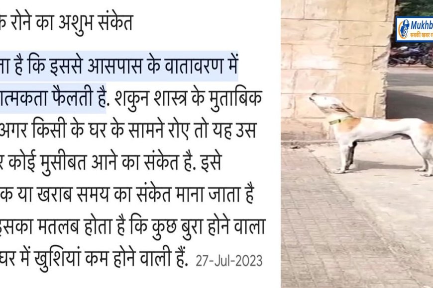 मंत्रियों की शपथ पर रोया कुत्ता,'कांग्रेस को हुआ दुख'