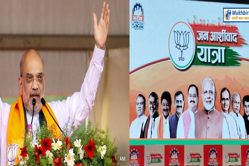 भाजपा 'जनता का आशीर्वाद' लेने के चक्कर में पार्टी के वरिष्ठ नेताओं का 'आशीर्वाद' लेना भूली