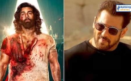 पहले ही दिन एनिमल ने तोड़ डाला टाइगर 3 का रिकॉर्ड,करोड़ों में हो रही कमाई
