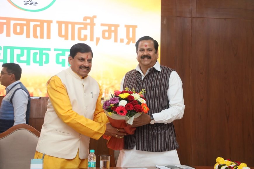 प्रदेश की लाड़ली बहनों को कल मिलेगी सौगात