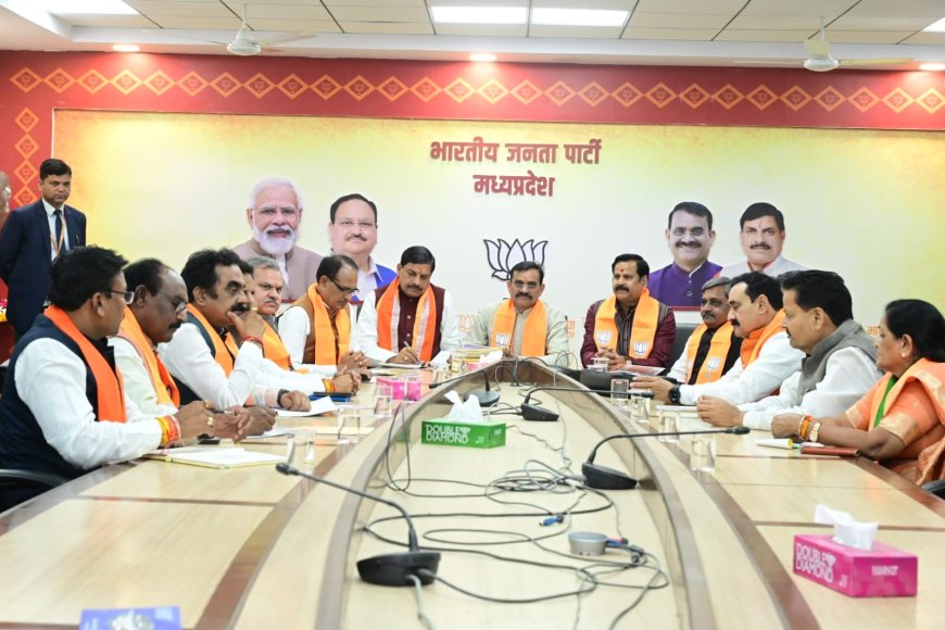 एमपी की 23 सीटों पर बीजेपी ने की रायशुमारी,दिल्ली से मुहर लगना बांकी,बीजेपी जल्द जारी करेगी सूची
