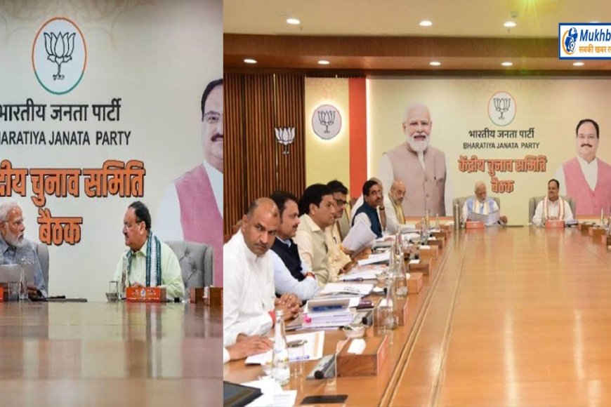 भाजपा की पहली सूची तैयार,आज शाम तक जारी होने की संभावना,विदिशा से होंगे शिवराज