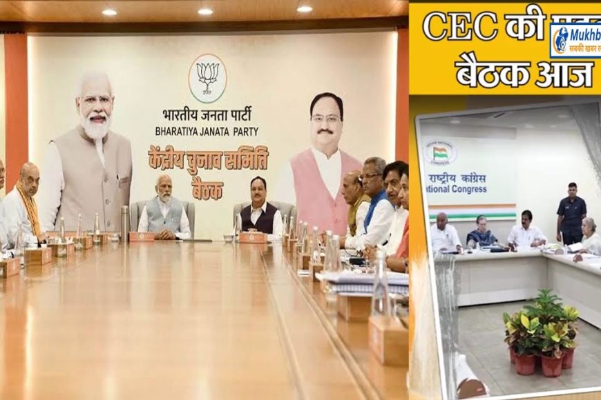 बीजेपी में पांच सीटों पर अब तक नहीं हुआ फैसला,चार में महिला उम्मीदवार की उम्मीद,कांग्रेस की बैठक आज