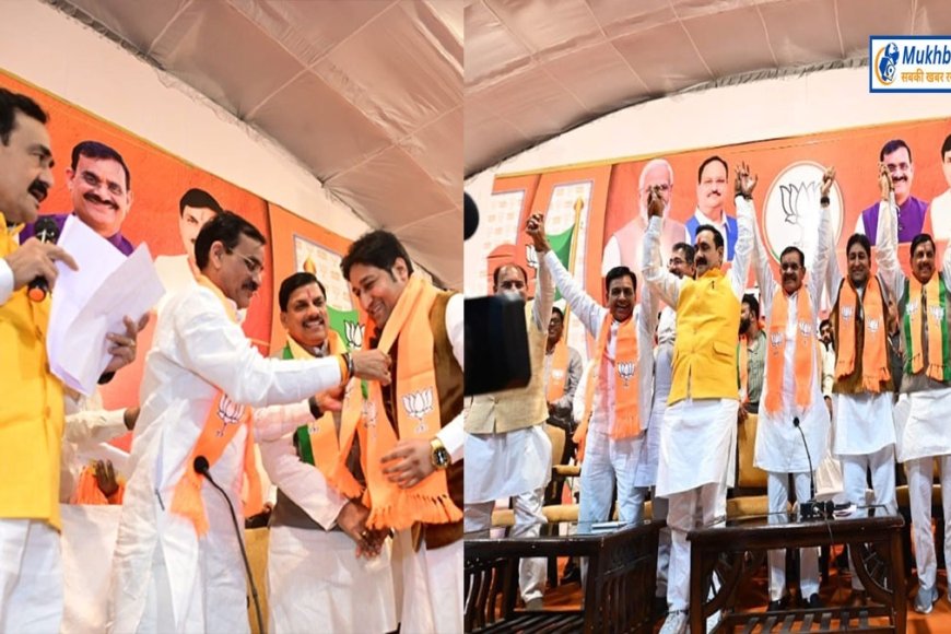 छिंदवाड़ा को 'छिन्न भिन्न बाड़ा' बनाने के बाद नकुलनाथ को बीजेपी से 'बी' फार्म जारी करने की तैयारी
