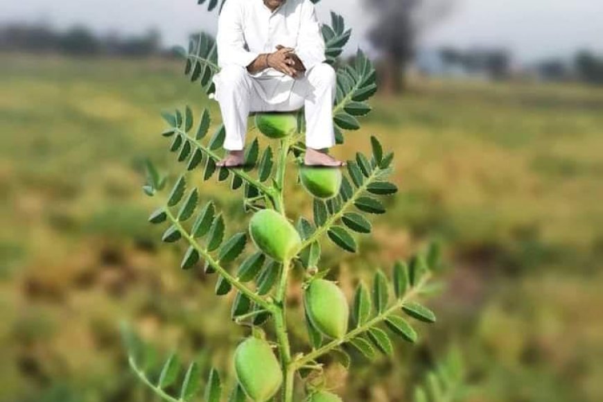इंडी गठबंधन ने राहुल गांधी को चढ़ाया चने के झाड़ पर,अब नेता प्रतिपक्ष बन कर देंगे मोदी को चुनौती