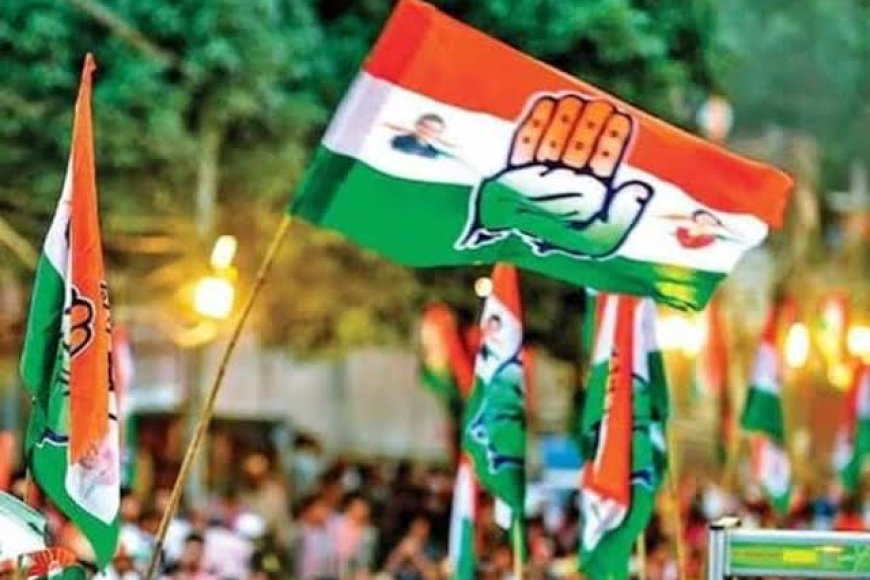 कांग्रेस की नई कार्यकारिणी के लिए एक अनार 100 बीमार जैसी कहानी,दावेदार दिल्ली तक दे रहे दस्तक