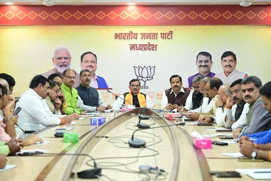 कांग्रेस के स्टार प्रचारकों का भाजपा के आदिवासी मंत्री करेंगे काउंटर,अमरवाड़ा में संभालेंगे कमान