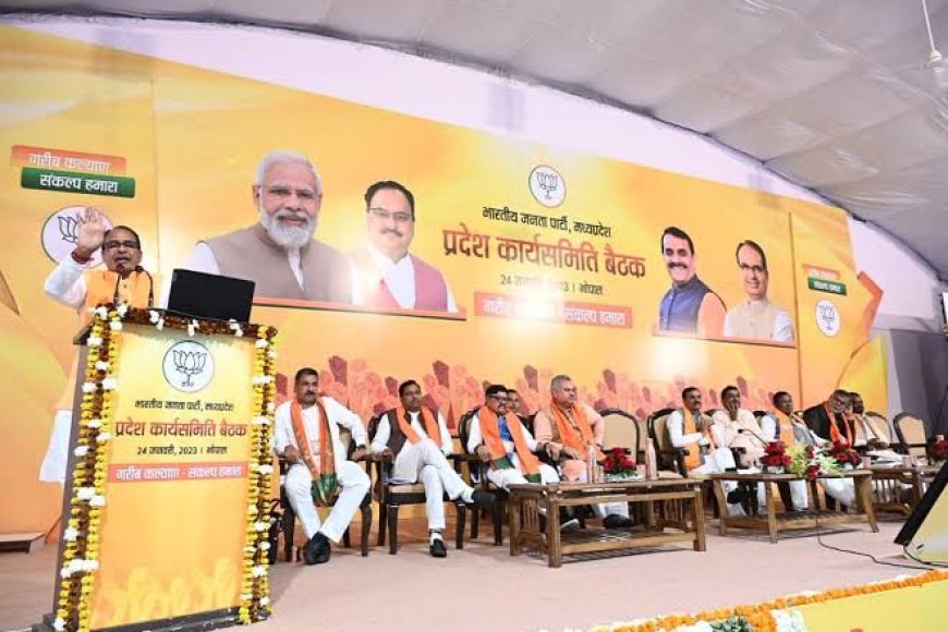 पद का बिल्ला लगा कर घूमने वाले नेताओं की भाजपा से छुट्टी होना तय,सात जुलाई को प्रदेश कार्यसमिति की होगी बैठक