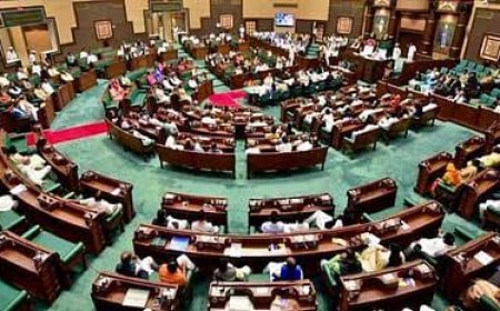 लोकसभा चुनाव में मिली करारी हार की कांग्रेस में दिखी खीझ,नर्सिंग मामले में पर्याप्त चर्चा के बाद भी विपक्ष ने सदन में जमकर किया हंगामा