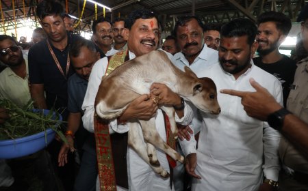 दूध खरीदने पर सरकार देगी बोनस,सीएम मोहन यादव का बड़ा ऐलान