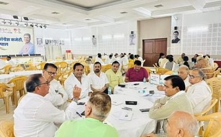 भाजपा की राह पर कांग्रेस,कैडरबेस संगठन तैयार करने की तैयारी में कांग्रेस,अनुशासन होगा पहली प्राथमिकता