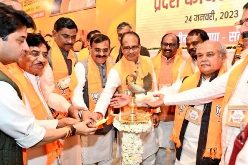 मप्र भाजपा कार्यसमिति में बड़ा प्रयोग,एक हजार से अधिक मंडल अध्यक्ष भी होंगे शामिल