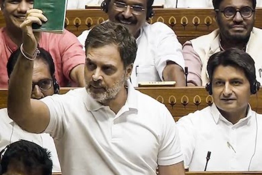 जो लोग खुद को हिंदू कहते हैं वो 24 घंटे हिंसा-हिंसा,नफरत-नफरत,असत्य-असत्य हैं,सदन में राहुल गांधी का बयान