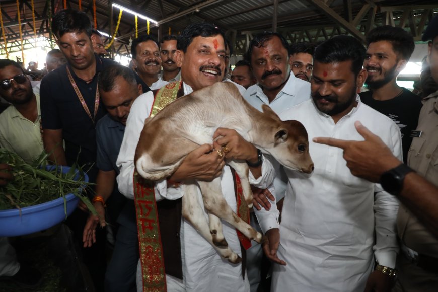 दूध खरीदने पर सरकार देगी बोनस,सीएम मोहन यादव का बड़ा ऐलान