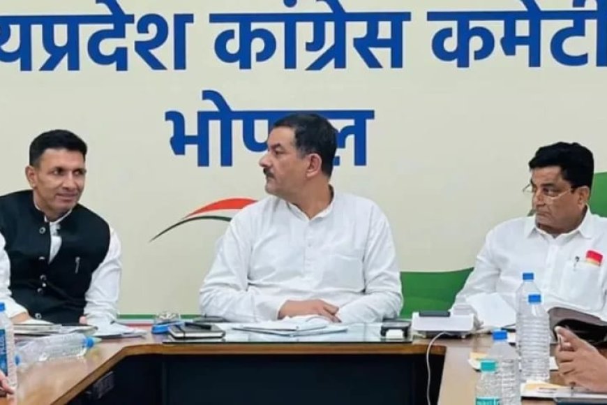 कांग्रेस प्रदेश कार्यकारिणी की जल्द होगी घोषणा,दो दिवसीय बैठक में तय हुए नाम,दिल्ली से मुहर लगना बांकी
