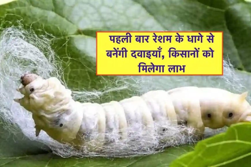 एमपी में रेशम से बनाई जाएंगी दवाइयां,'रेशम से समृद्धि योजना' हुई शुरु
