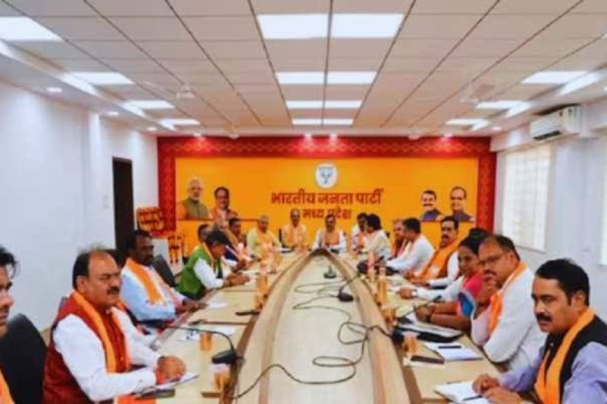 मिशन 28 और 29 की तैयारी में भाजपा,सदस्यता अभियान से भविष्य की दिशा तय करने में जुटी भाजपा,एक अगस्त से होगा महा सदस्यता अभियान