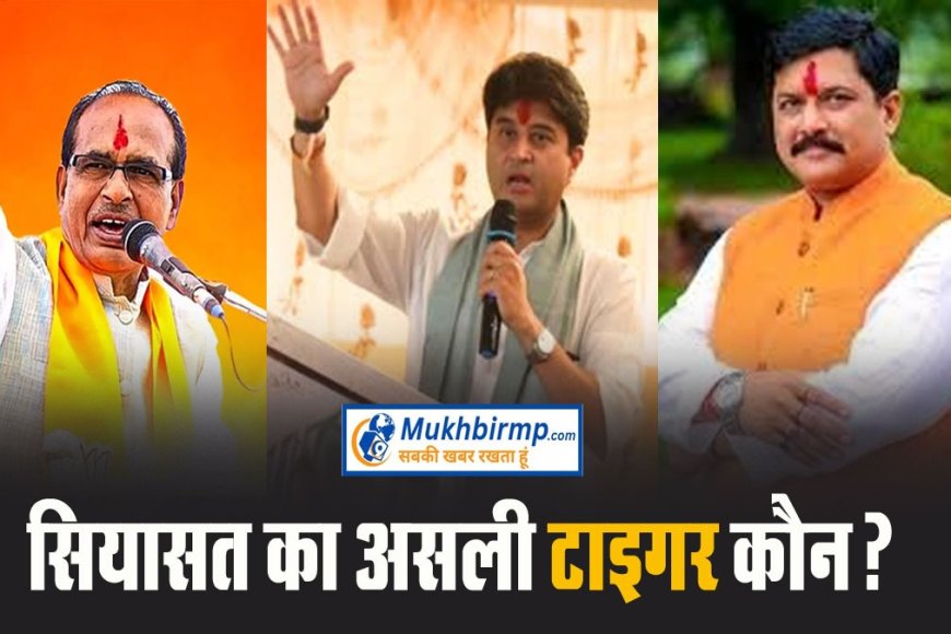 एमपी की सियासत का टाइगर कौन? शिवराज,सिंधिया और अब केपी यादव ने खुद को कहा टाइगर,क्या हैं इसके मायने
