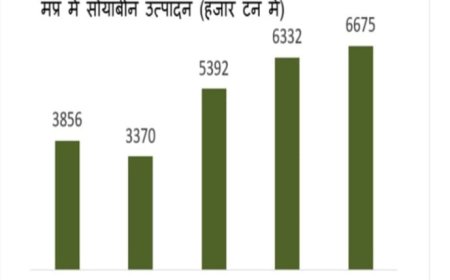 सोयाबीन उत्पादन में नंबर वन बना मप्र,'सोयाप्रदेश' का मिला ताज,महाराष्ट्र,राजस्थान को छोड़ा पीछे