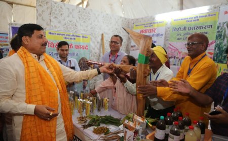 कुपोषण के विरुद्ध युद्ध में मध्यप्रदेश मिशन मोड पर सक्रिय,कुपोषण के मामलों में बड़ी गिरावट