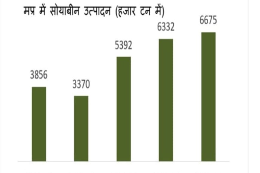 सोयाबीन उत्पादन में नंबर वन बना मप्र,'सोयाप्रदेश' का मिला ताज,महाराष्ट्र,राजस्थान को छोड़ा पीछे