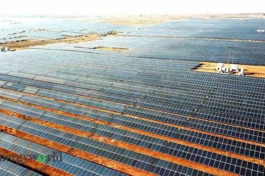रीवा सौर परियोजना को हार्वर्ड यूनिवर्सिटी ने केस स्टडी के रूप में किया शामिल