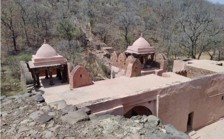 रानी दुर्गावती के सम्मान में मोहन मंत्रि-परिषद की बैठक दमोह के सिंग्रामपुर में होगी आयोजित,सीएम देंगे प्रदेश को कई सौगात