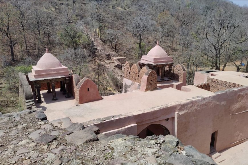रानी दुर्गावती के सम्मान में मोहन मंत्रि-परिषद की बैठक दमोह के सिंग्रामपुर में होगी आयोजित,सीएम देंगे प्रदेश को कई सौगात