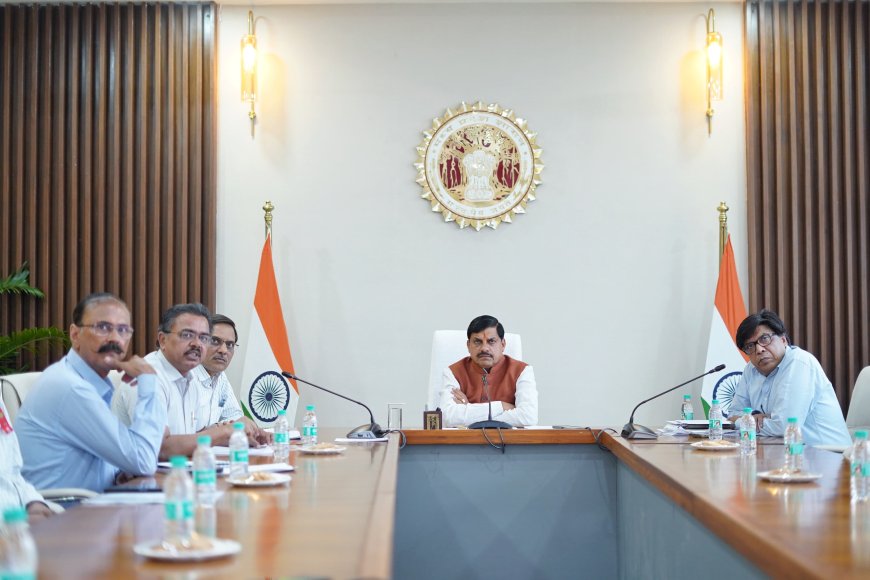 हाथियों की मौत मामले में दो अधिकारियों पर गिरी गाज,सीएम ने अधिकारियों को किया सस्पेंड