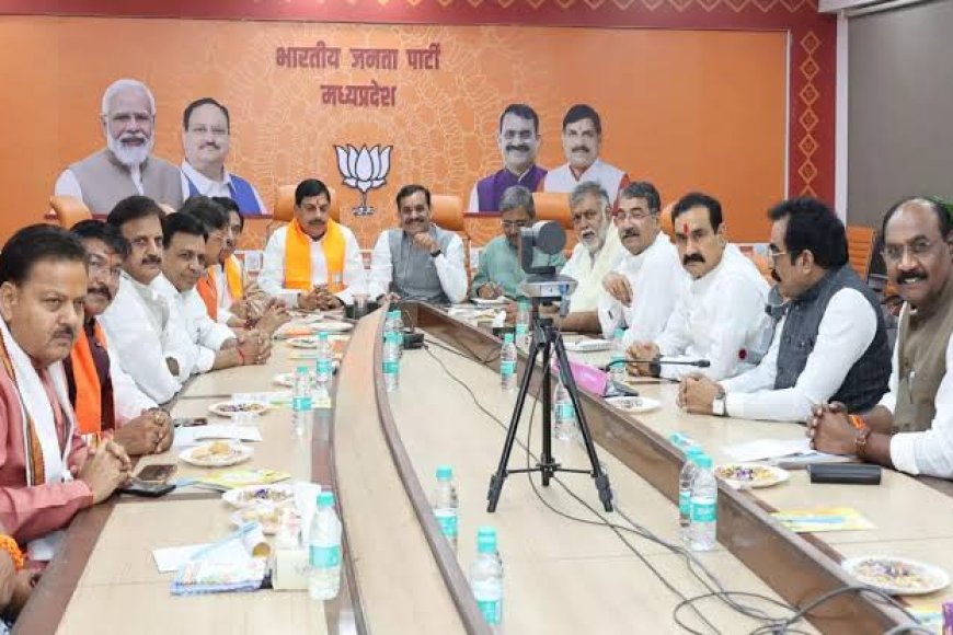 मप्र भाजपा का अध्यक्ष बदलना तय,अब पार्टी को जल्द मिलेगा नया प्रदेश अध्यक्ष