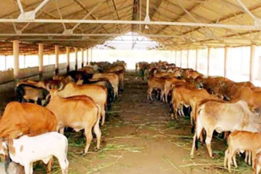 प्रदेश की सबसे बड़ी गौ-शाला का भूमिपूजन करेंगे सीएम यादव,15 करोड़ की लगात और 25 एकड़ में बनेगी गौ-शाला