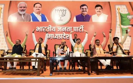 भाजपा में 35 से 45 वर्ष तक का ही ब्यक्ति बनेगा मंडल अध्यक्ष,13 सौ 13 मंडलों में चल रही चुनाव की प्रक्रिया