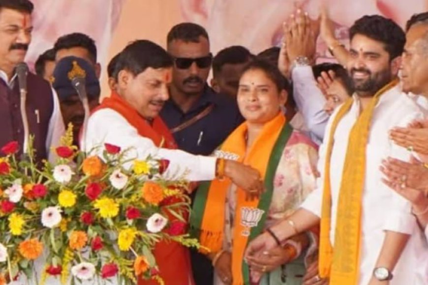 निर्मला सप्रे को लेकर सस्पेंश,विधानसभा में कहां मिलेगा स्थान,कांग्रेस ने स्थान देने से किया इंकार,विस अध्यक्ष के हाथ में मामला
