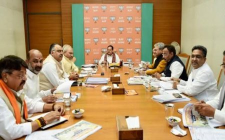 होली निकल गई भाजपा प्रदेश अध्यक्ष नहीं कर पाई तय,फूट रहा कार्यकर्ताओं के सब्र का बांध