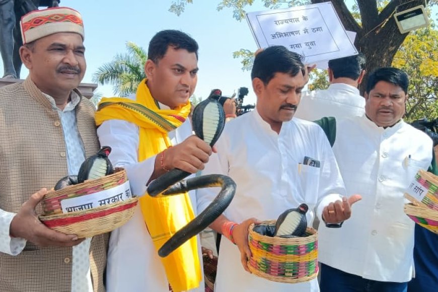 हाथ में 'सांप' लेकर विधानसभा पहुंचे कांग्रेस विधायक,सरकार पर बेरोजगार युवाओं को 'डसने' का लगाया आरोप