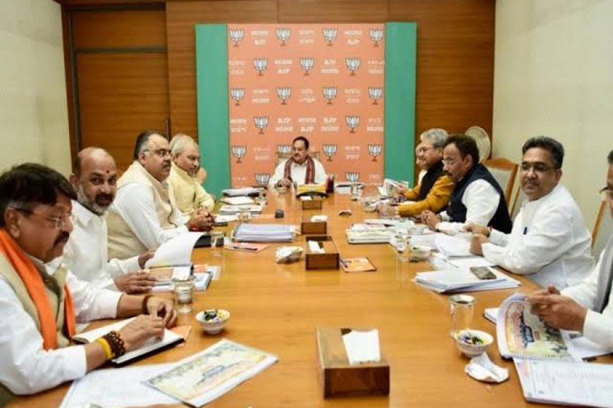 होली निकल गई भाजपा प्रदेश अध्यक्ष नहीं कर पाई तय,फूट रहा कार्यकर्ताओं के सब्र का बांध