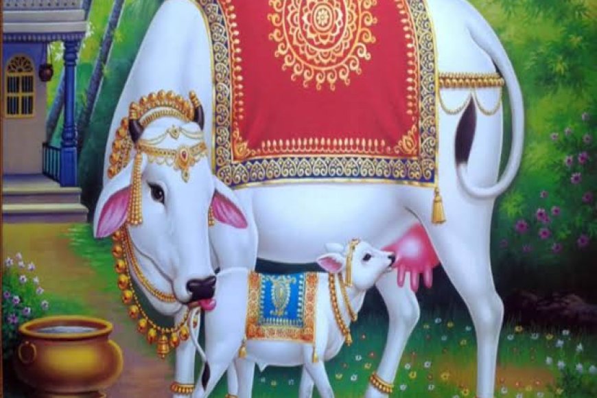 'डॉ. अम्बेडकर पशुपालन विकास योजना' से गौ पालने के लिए मिलेंगे 40 रुपये प्रति गाय अनुदान