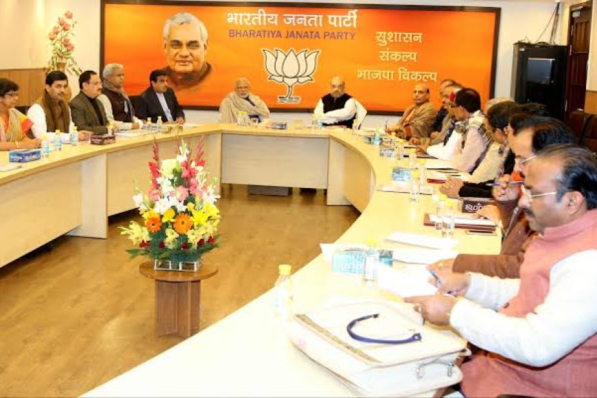 भाजपा के वरिष्ठ नेताओं के धैर्य का फूट रहा बांध,प्रदेश अध्यक्ष की घोषणा नहीं होने से नाराज हो रहे नेता और कार्यकर्ता