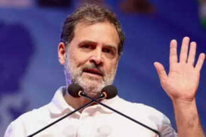105 दिन में बनेगी राहुल गांधी की ‘कांग्रेस’ 61 ऑब्जर्वर बनाएंगे जिले के लिए पैनल