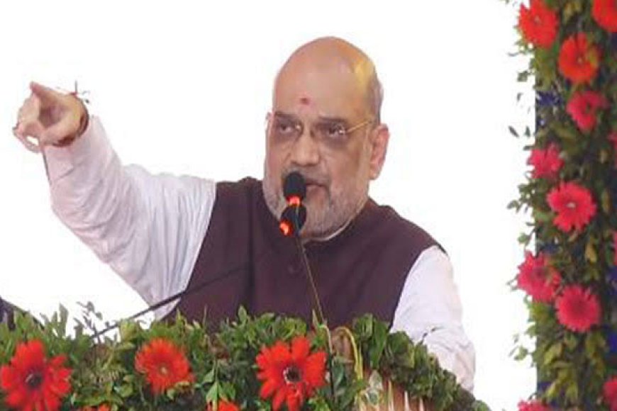 'जोश में नहीं होश' में रह कर भाषण दें सांसद और विधायक,अमित शाह ने दो टूक शब्दों में सांसद-विधायकों को दी चेतावनी