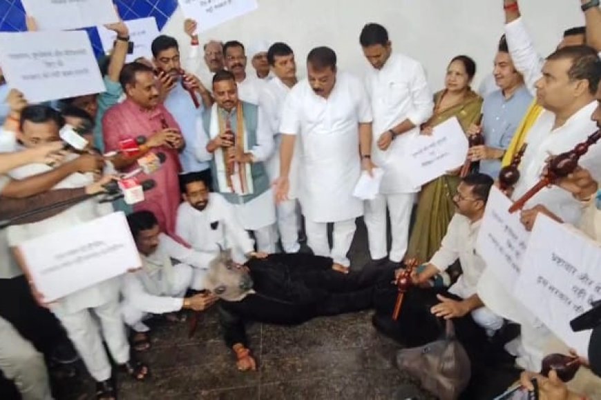 विधानसभा में 'भैंस' के आगे कांग्रेस विधायकों ने बजाई बीन,सीएम ने कहा मर्यादा में रहिए