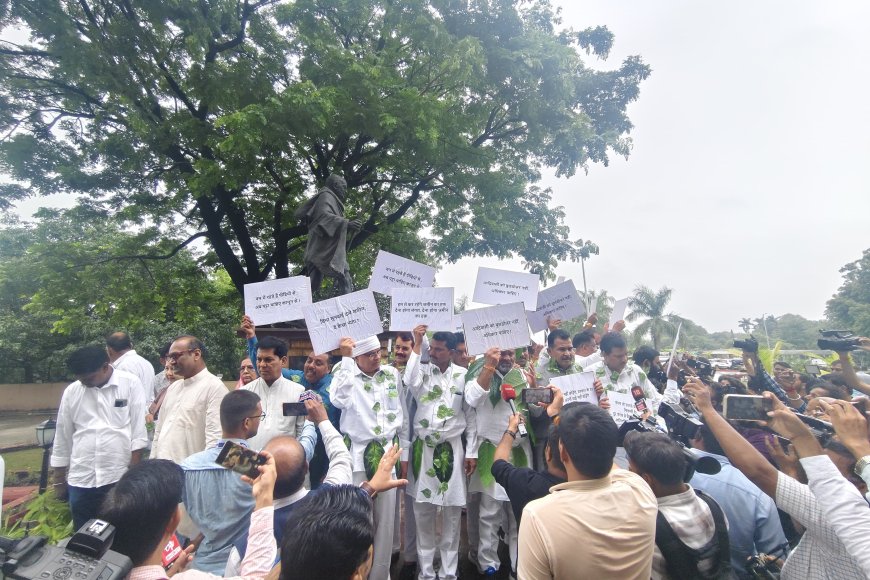 कपड़े के बजाय 'पत्ते' क्यों पहन कर विधानसभा गए कांग्रेस के विधायकःपढ़िए मुखबिर पर खबर