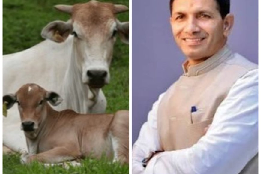 ‘गाय नहीं कटने दूंगा मांस नहीं बिकने दूंगा’ कांग्रेस अध्यक्ष जीतू पटवारी ने भाजपा सरकार को दी चुनौती
