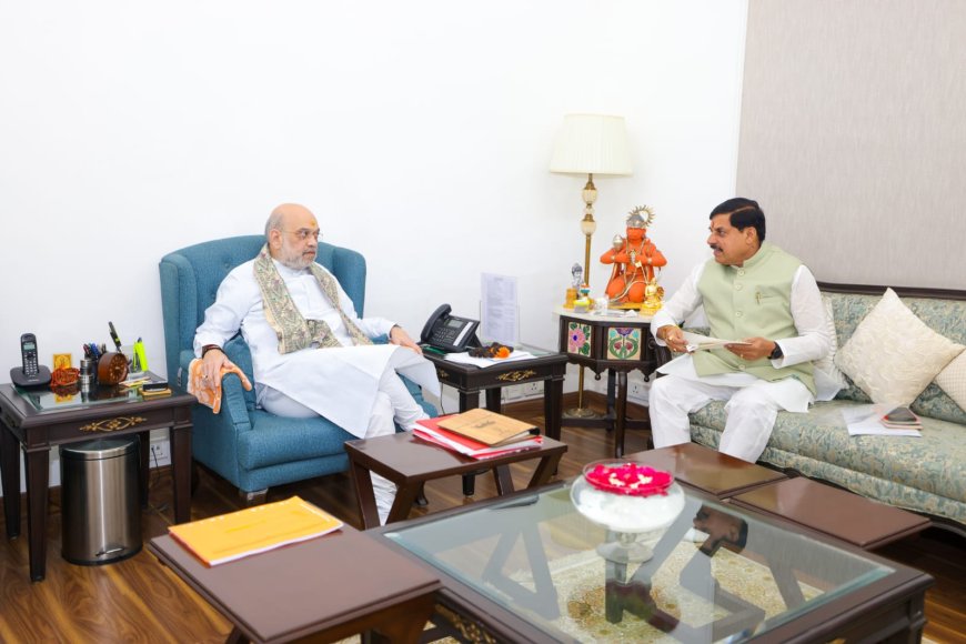 अमित शाह से फिर मिले सीएम लेकिन नहीं बनी बात,निगम-मंडलों की नियुक्ति को लेकर हुई चर्चा