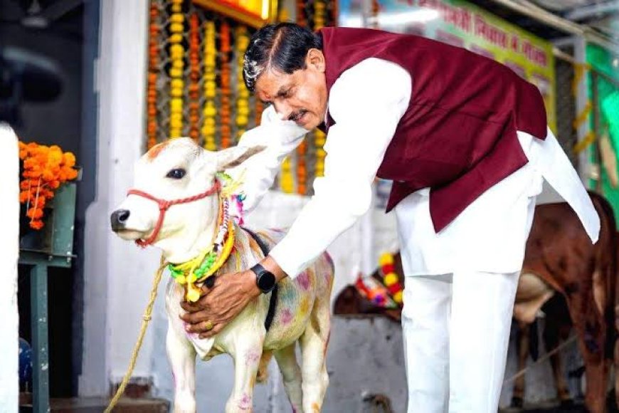 'गौ-मंदिर' के रूप में विकसित होंगी मप्र की गौ-शालाएं,सीएम मोहन यादव ने किया ऐलान
