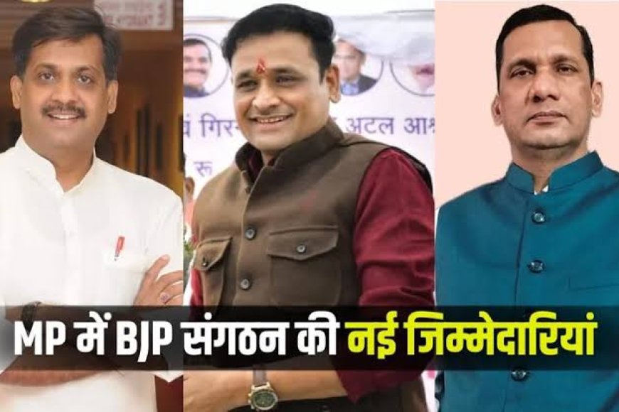 संघ के तृदेव भाजपा के संगठन में लगाएंगे छन्नी मोर्चा और प्रकोष्ठ में कांग्रेस से आए कार्यकर्ताओं की होगी ने इंट्री