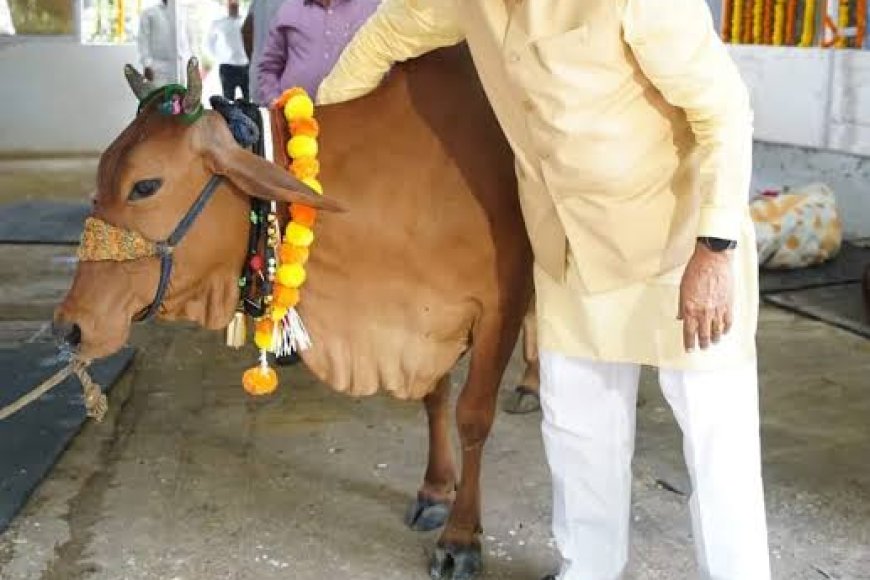 'हिरण्यगर्भा' अभियान प्रदेश के पशुपालकों के जीवन में लाएगा बड़ा बदलाव बहेगी दूध की धारा