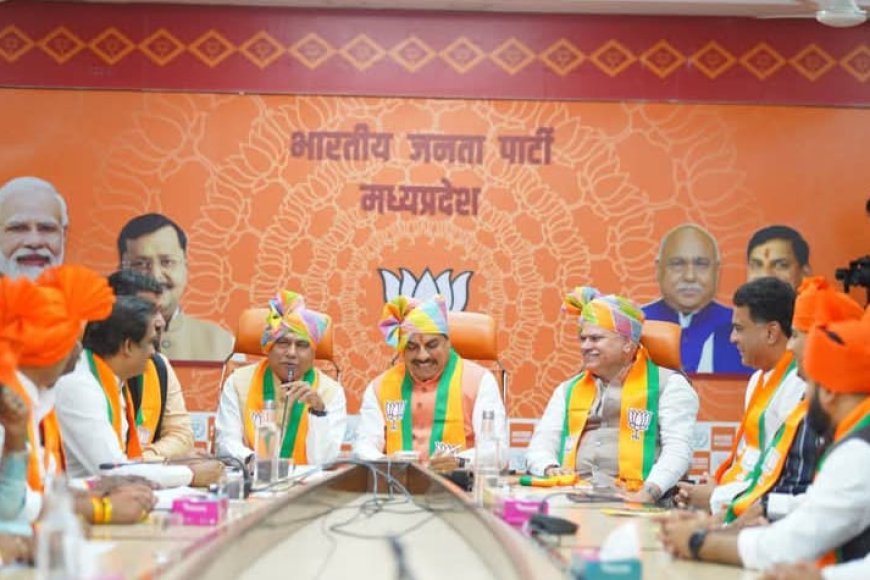 बीजेपी की कार्यसमिति और निगम-मंडल की सूची को लेकर समन्वय पर समन्वय बैठकें हुई  लेकिन सारी कोशिशें नाकाम
